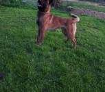 изображение_viber_2023-01-16_23-29-24-985