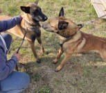 изображение_viber_2023-01-16_23-30-27-389