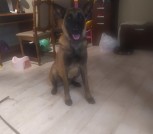 изображение_viber_2023-01-16_23-31-37-787