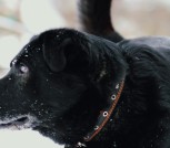 Polish_20230207_195557888