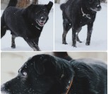 Polish_20230207_200116836