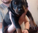 IMG-8aa8fed7bafc180c2cb480e5a06748cb-V