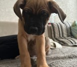 IMG_20230331_161421_827