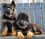  ДЕВОЧКИ  ВАЦЫ-20peg