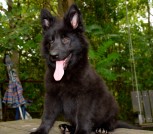 детки Вацы-7peg