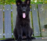 Дочки Вацы-9peg