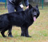 КАСС  в стойке -4jpg