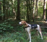 IMG-85a451980f8cba94e0d7acb15c537d75-V