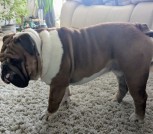 0-02-0a-6dc02bbd78d3f30f7042b7a014a2aa441df4a09fcd29b6edd7f7fdb5c4422551_f499cc99beaabb4e