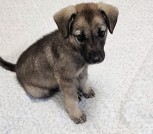 IMG_20240512_171953_734