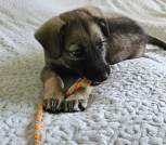 IMG_20240512_172157_923