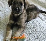 IMG_20240512_172246_081