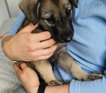 IMG_20240512_172308_303