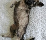 IMG_20240512_172345_435