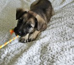 IMG_20240512_172528_675