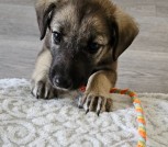 IMG_20240512_172637_325