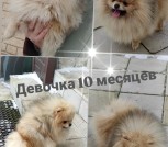 IMG_20250207_151321_346