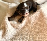 photo_2025-02-09_22-16-48