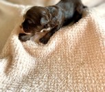 photo_2025-02-09_22-16-49