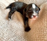 photo_2025-02-09_22-16-51