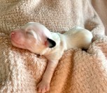 photo_2025-02-09_22-50-49