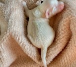 photo_2025-02-09_22-50-50