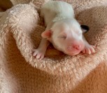 photo_2025-02-09_22-50-51