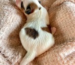 photo_2025-02-09_22-59-32