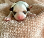 photo_2025-02-09_22-59-33