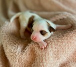 photo_2025-02-09_22-59-34