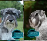 PhotoCollage_20241009_224422521