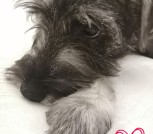 PhotoCollage_20241203_000426280