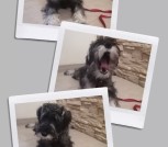 PhotoCollage_20250214_101800683