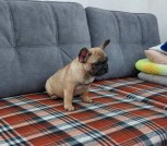 изображение_viber_2025-02-14_12-28-34-909