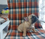 изображение_viber_2025-02-14_12-28-36-774