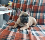 изображение_viber_2025-02-14_12-28-37-556