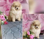 GridArt_20250218_140233080