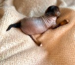 photo_2025-02-09_22-30-02