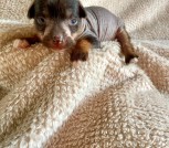 photo_2025-02-09_22-30-03