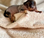 photo_2025-02-09_22-30-04 (2)