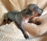 photo_2025-02-09_22-46-12 (2)