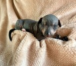 photo_2025-02-09_22-46-12