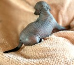 photo_2025-02-09_22-46-13