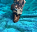 photo_2025-02-25_17-47-00