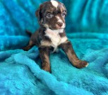 photo_2025-02-25_17-47-11