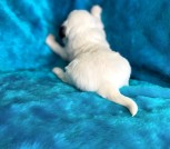 photo_2025-02-25_17-50-18