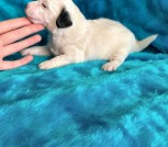 photo_2025-02-25_17-50-21