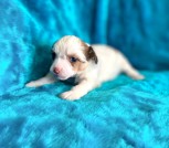 photo_2025-02-25_17-50-39