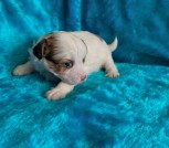 photo_2025-02-25_17-50-58