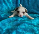 photo_2025-02-25_17-52-32